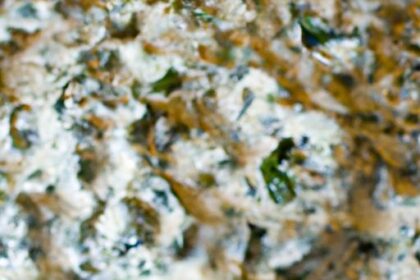 Creamy Homemade Spinach & Artichoke Dip: A Savory Delight