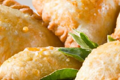 Bite-Sized Delights: The Art of Mini Chicken Empanadas